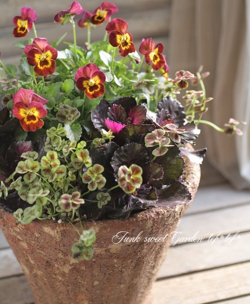 tef*tef*�󤻿���<BR>2015 * no.102 *<BR><BR>�ӥ���إ��åѡ��١��ղ�ð