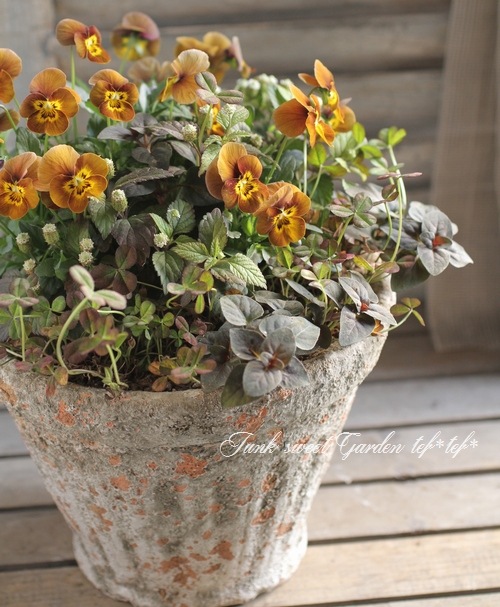 激レア/絶版★ ダンバリーミント タラデガ スーパースピードウェイ ジオラマ ★ Amazon | Hi-Story 1/43 ダイハツ ミラ ターボ TR-XX 1985 ホワイト Hi