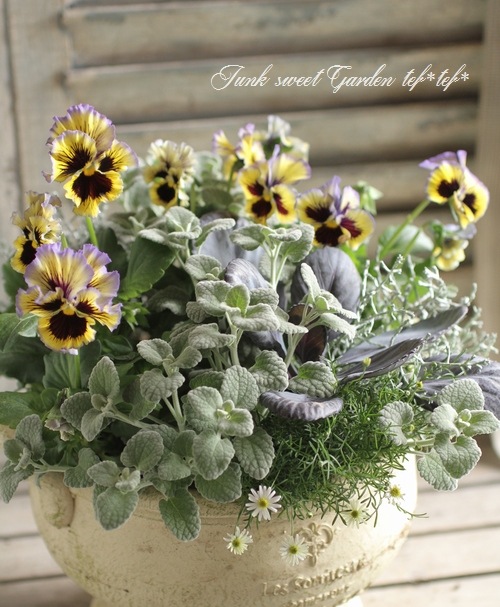 tef*tef*󤻿<BR>2015 * no.110 *<BR><BR>եѥ󥸡إ֥롼