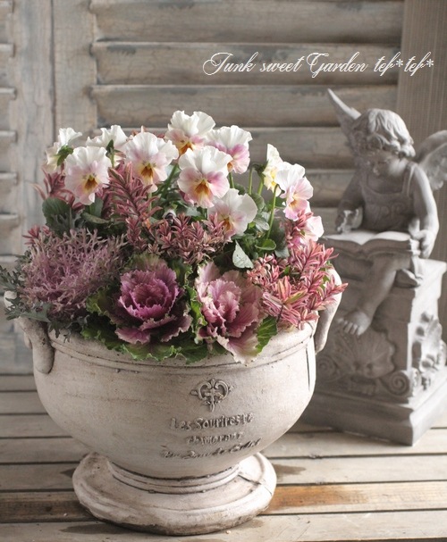 tef*tef*寄せ植え<BR>2015 * no.114 *<BR><BR>エボルベ×カップポット