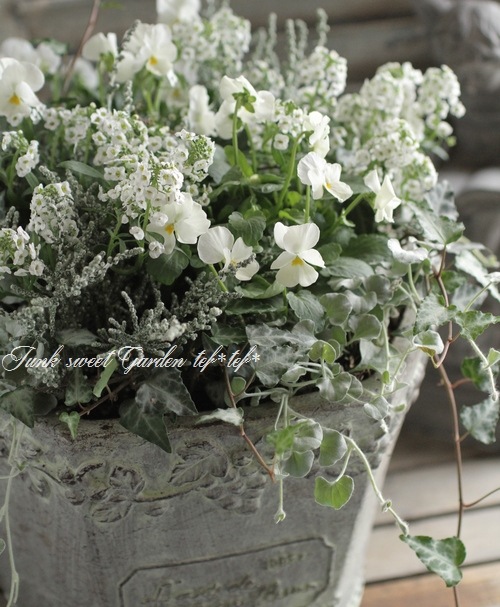 花 国内4月20日発売予定】アディダス オリジナルス 