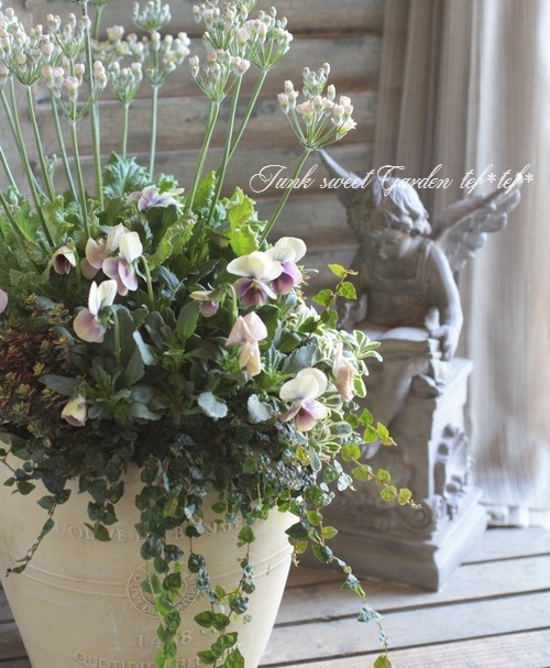 tef*tef*寄せ植え<BR>2016 * no.30 *<BR><BR>『Mr.グリニッシュ×黄萌