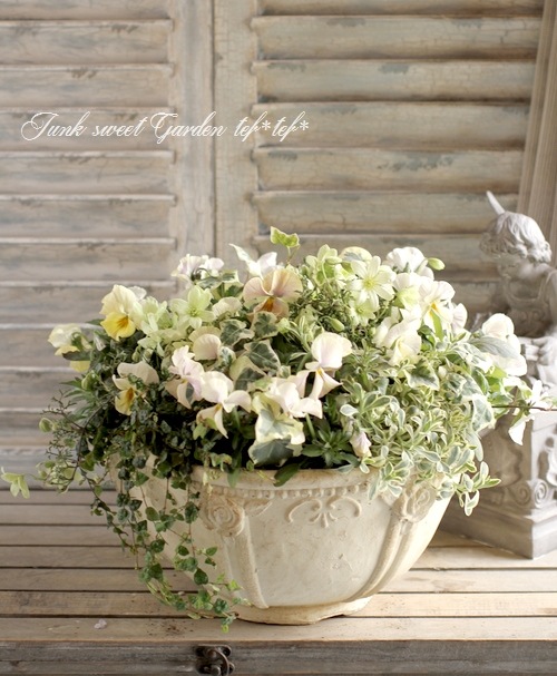 寄せ植え　花■みつばちと花畑 寄せ植え 花□みつばちと花畑 【公式通販】