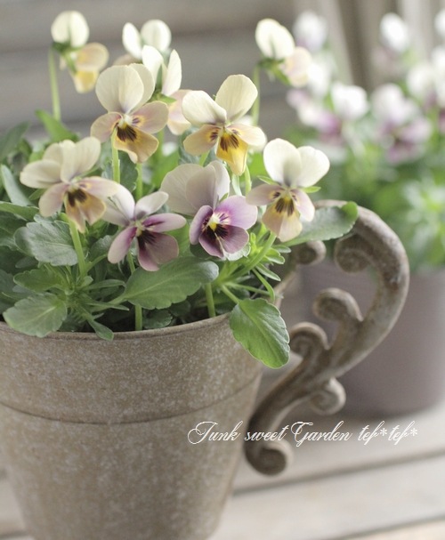 花びん チェックのかびん（FP2・seto）