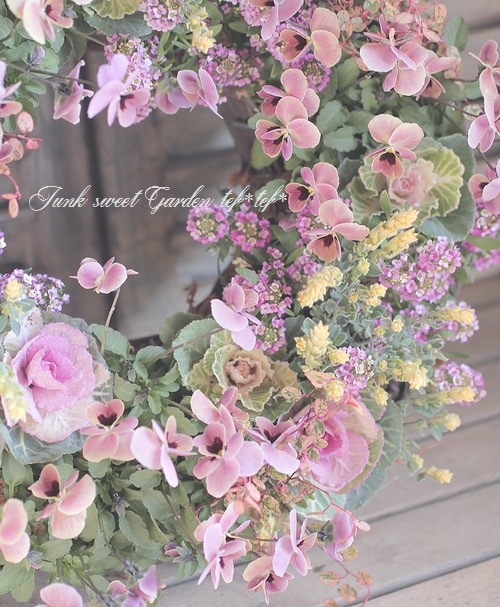 tef*tef*�󤻿����꡼��<BR><BR>2016 * no.61 *<BR>�ԥ󥯥ѥ��ƥ�Υ꡼��