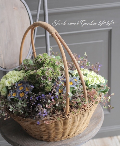 tef*tef*�󤻿��� 2017<BR> * no.5 *<BR>�礭��ΥХ����å�