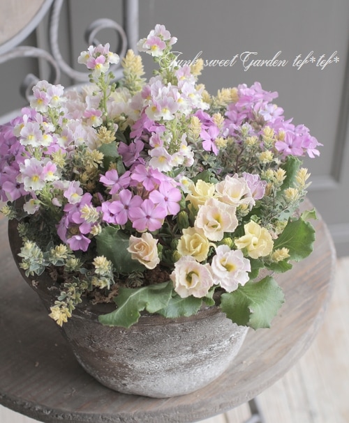 tef*tef*寄せ植え 2017<BR> * no.12 *<BR>春色ピンク | 寄せ植え