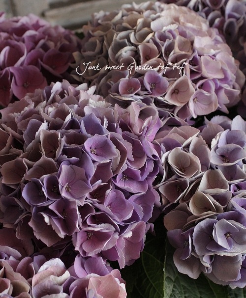 2_001000000023.jpg?1678209903