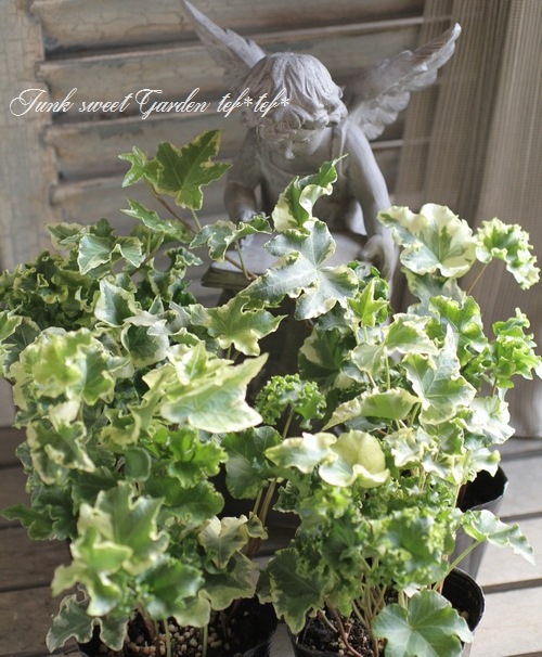 եإǥ顡إꥢ١إ塼꡼å