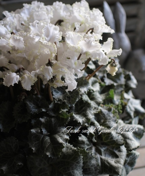 【龍門堂】漆器 木曽奈良井　十峰彫 　折橋十峰　十峰作　盛鉢 龍門堂】漆器 木曽奈良井 十峰彫 折橋十峰 十峰作 盛鉢