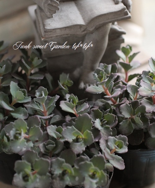 Ƽ�ե����ࡡ�إ��饹�Хߥ��Х��