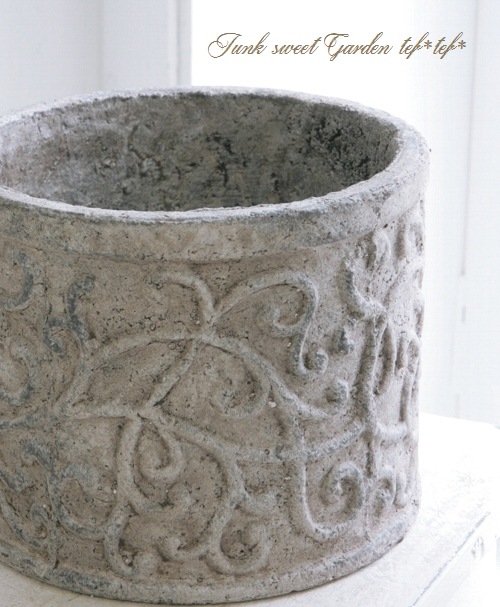 �ڻ��ߡۥ������륷�������ݥåȡ��̥�����