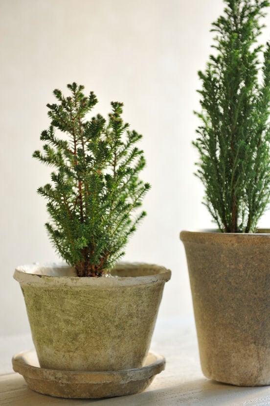 �ڻ��ߡ� �⥹�ݥåȡ�����������ɡ�����ƥ������ۥ磻�� S