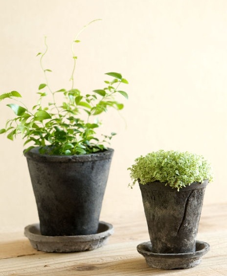 �ڻ��ߡۥ���������ɡ��֥�å��������쥢�ݥå� 30cm