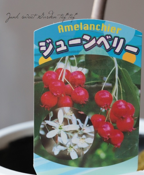 塼٥꡼ إХ꡼ʡ١ʼ