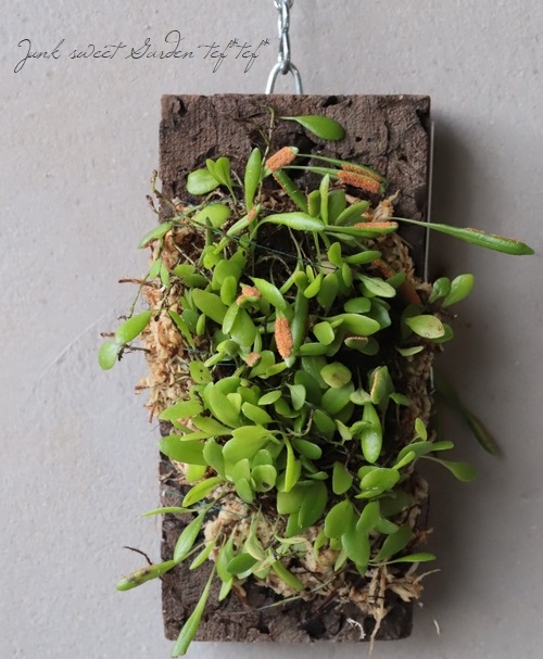 �ڴ��տ�ʪ�ۡ������������ز���Ʀ�����١�