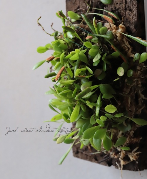 �ڴ��տ�ʪ�ۡ������������ز���Ʀ�����١�