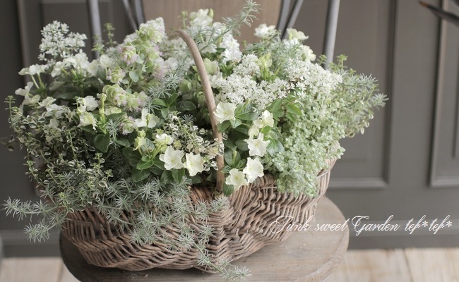 �������ݥ��ꥸ�ʥ�� �˥��˥��������إ�����塼�������� �ڥۥ磻�ȡ�