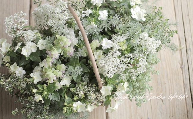 �������ݥ��ꥸ�ʥ�� �˥��˥��������إ�����塼�������� �ڥۥ磻�ȡ�