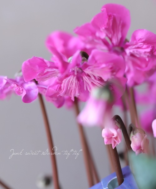 �������󡡡�ŷ�ȤΤϤ͡١�E������