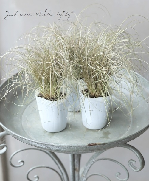 ����å������إ֥��󥺥������