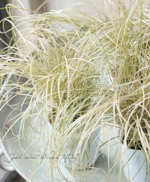 ����å������إ֥��󥺥������