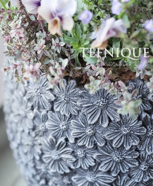 �ڴ󤻿�����-TEFNIQUE-�󤻿��� 2026 * no.1 *������Ͳİ���������ӥ塼�ƥ�������