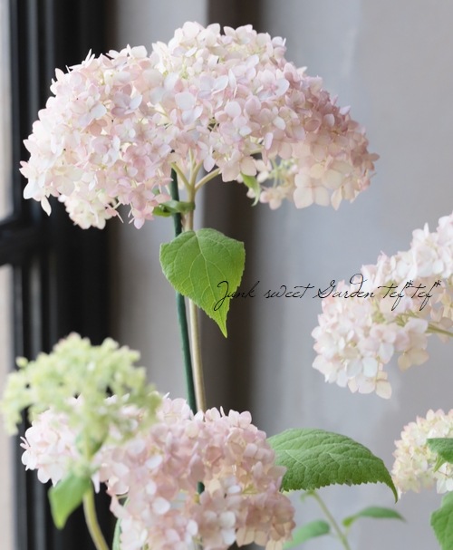 ۲֥ʥ٥롡إ롦ѥե
