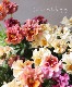 ��臘�������ꥸ�ʥ�ѥ󥸡�����ŷ�α����