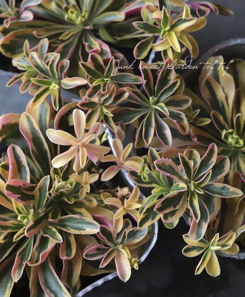 7_000000008831.jpg?1678209903