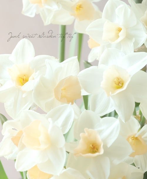 仙台出品 鳶服の通販 ライダースジャケット 寅壱TORAICHI8940-554【サンワーク本店】