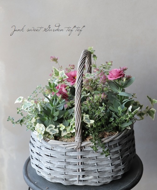 �ȥ륳�����祦�� �إ��㡼��ԥ󥯡�