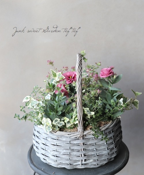 �ȥ륳�����祦�� �إ��㡼��ԥ󥯡�