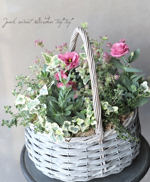 �ȥ륳�����祦�� �إ��㡼��ԥ󥯡�