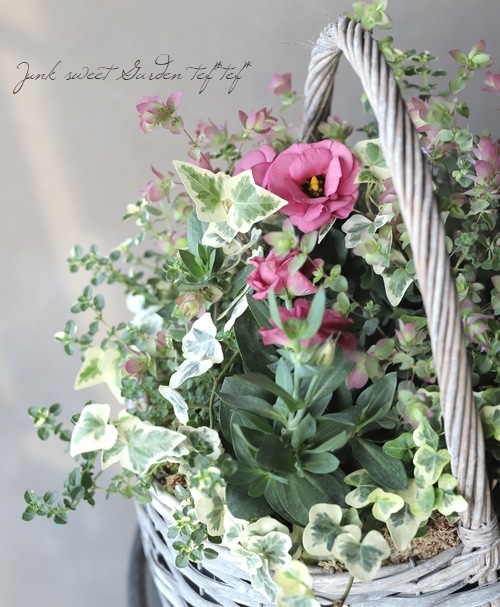 �ȥ륳�����祦�� �إ��㡼��ԥ󥯡�