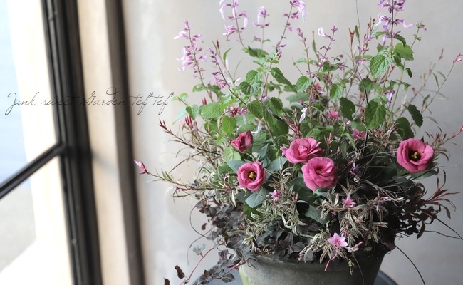 �ȥ륳�����祦�� �إ��㡼��ԥ󥯡�