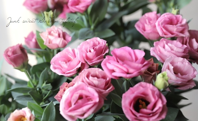 �ȥ륳�����祦�� �إ��㡼��ԥ󥯡�