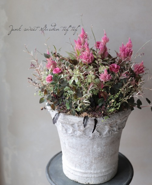 �ȥ륳�����祦�� �إ��㡼��ԥ󥯡�