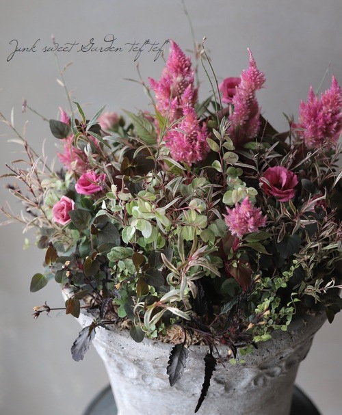 �ȥ륳�����祦�� �إ��㡼��ԥ󥯡�