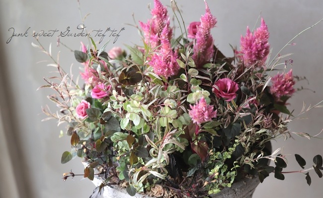 �ȥ륳�����祦�� �إ��㡼��ԥ󥯡�