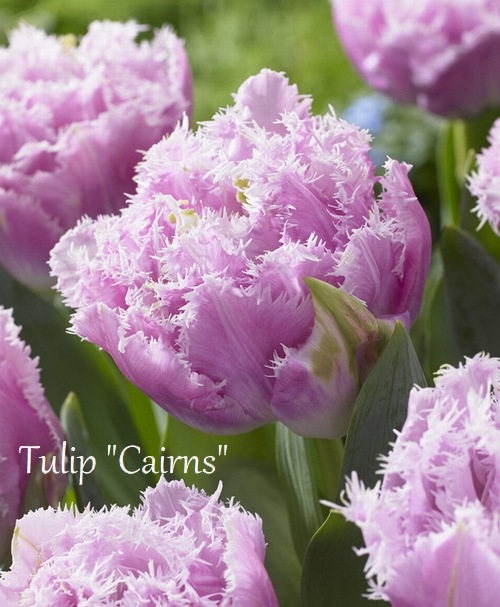 ڵ庬 ٺ餭塼åסإ󥺡