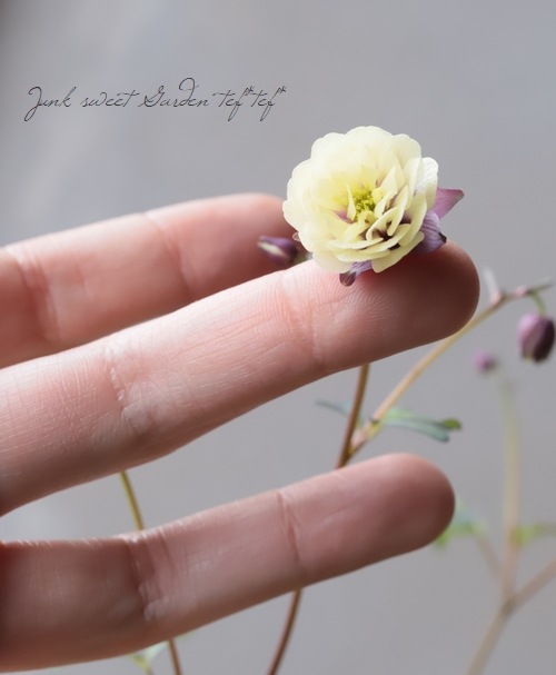 ءȬź餭륪ޥإ꡼ѡץ E