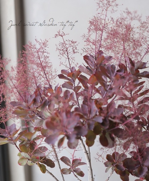 ���⡼���ĥ꡼���إ롼����� 2025��No.26��