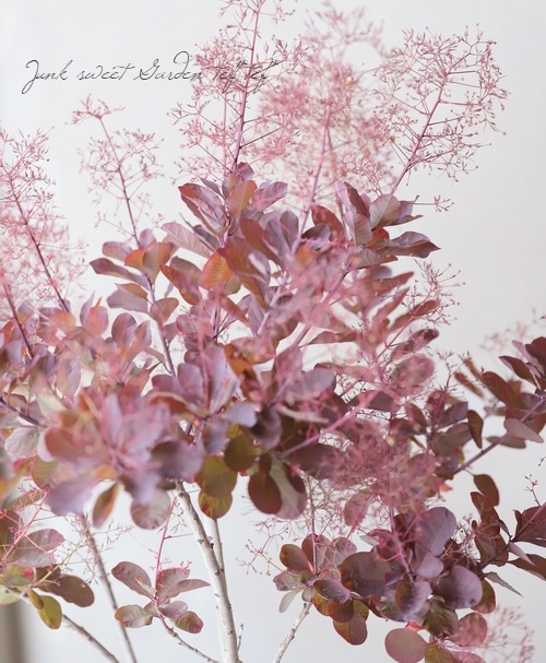 ���⡼���ĥ꡼���إ롼����� 2025��No.26��