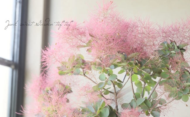 ���⡼���ĥ꡼���إ롼����� 2025��No.26��