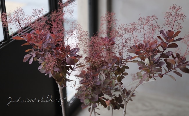 ���⡼���ĥ꡼���إ롼����� 2025��No.26��