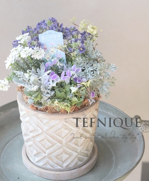 TEFNIQUE-寄せ植え 2025 * no.16 * 『碧いうさぎの香りする冬の小さな