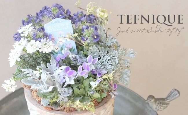 TEFNIQUE-寄せ植え 2025 * no.16 * 『碧いうさぎの香りする冬の小さな