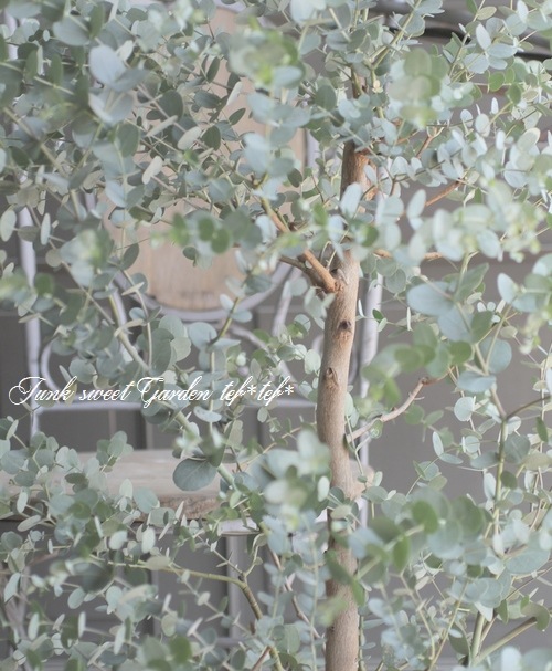 �桼���ꡡ�إ��ˡ��١��������