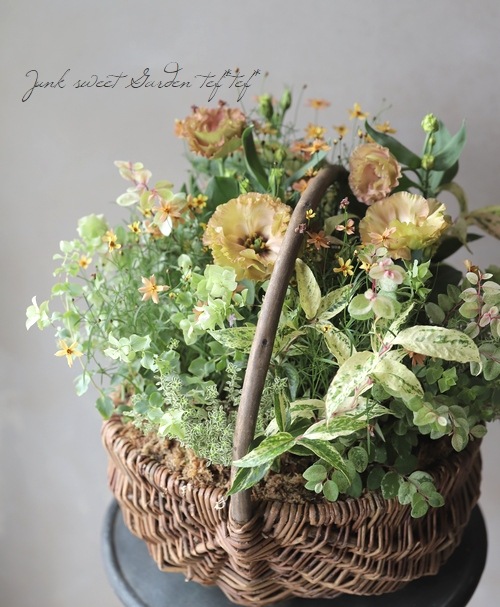 Ȭ�ź餭�ȥ륳�����祦�� �إ�������ץꥳ�åȡ�